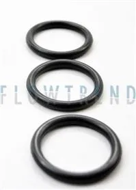 U7000/SSV 1.5" PLUG SEAL, FPM 10/PK