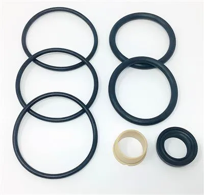 SERVICE KIT EPDM UNIQUE SSV/ 7000 STANDARD/LONG STROKE/MANUAL CHANGE OVER 51/DN50/2"