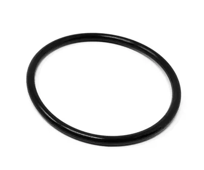 U7000/SSV 2.0" BODY O-RING, HNBR POS 21