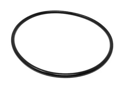 CL CASING O-RING