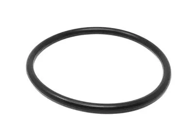 U7000/SSV 2.0" BODY O-RING, EPDM POS 21