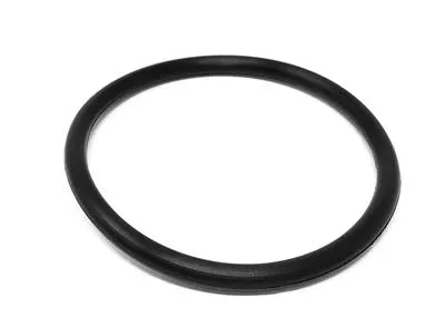 U7000/SSV 1.0/1.5" BODY O-RING, EPDM FDA POS 21