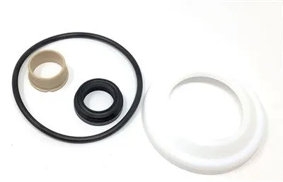 U7000/SSV SVC KIT 2.5" EPDM/PTFE S/O