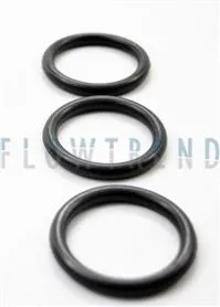 U7000/SSV 1.5 INCH PLUG SEAL, EPDM 10/PK