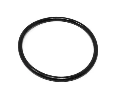 U7000/SSV 2.0" BODY O-RING, FPM, POS 21