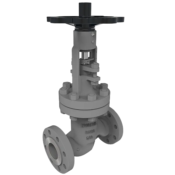 Pneumatic actuated BSV Bvalve BV25065 AMA PN40