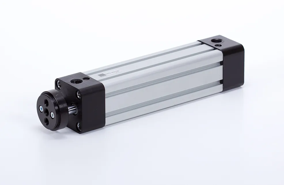 Double acting cylinder | adjustable cushioning | magnetic piston | non-rotating piston rod | D-serie HAFNER DIPD