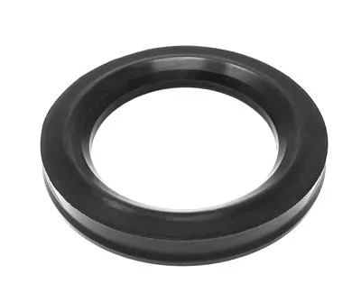 SEAL EPDM SRC 2.5" LWR