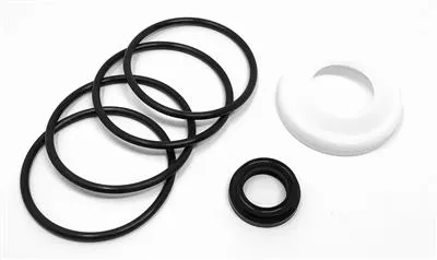 U7000/SSV SVC KIT 2.0" FPM/PTFE S/O RA