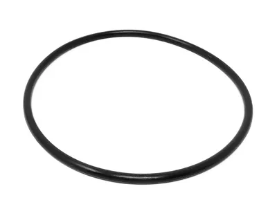 CHECK VALVE, 2.5-3" O-RING