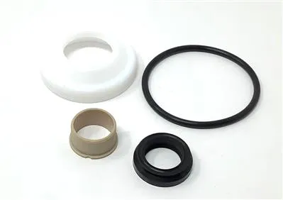 U7000/SSV SVC KIT 2.0" FPM/PTFE S/O