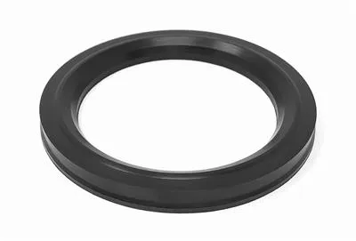 SRC VALVE PKG EPDM NW80