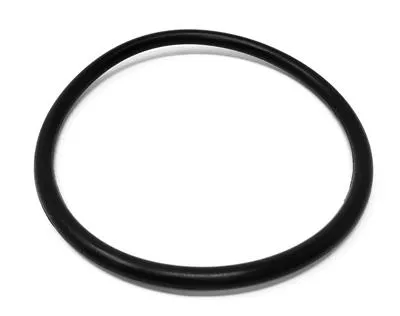 U7000/SSV 2" VLV BODY O-RING EPDM
