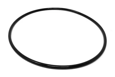 SRU-2/TSR-2, CASG O-RING FPM