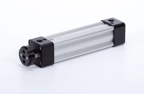 Double acting cylinder | adjustable cushioning | magnetic piston | non-rotating piston rod | D-serie  HAFNER DILD