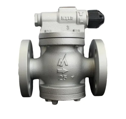 Pilot operated for steam Miyawaki RE10N