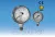INOX PRESSURE GAUGE GAS CONNECTION (MOD. SA)